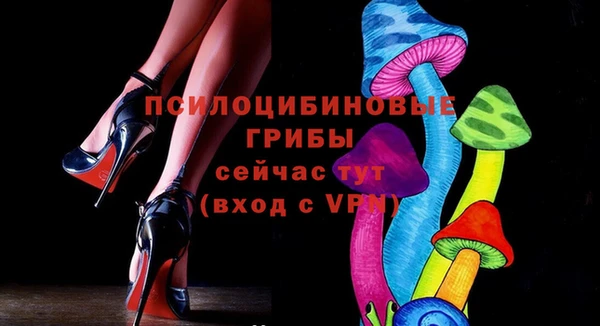 дмт Баксан