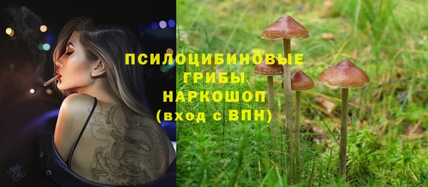 мет Арсеньев