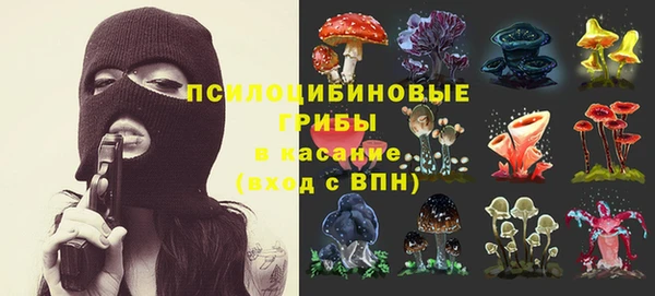 мет Арсеньев