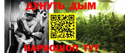 эйфоретик Кимры