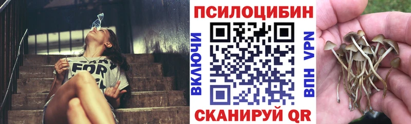 наркота  Кемерово  Псилоцибиновые грибы мицелий 