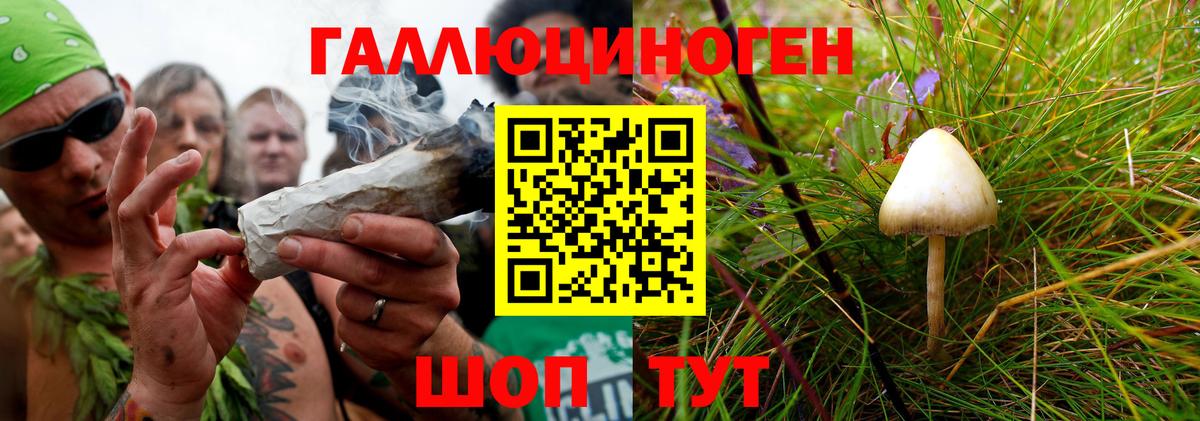 Псилоцибиновые грибы Psilocybine cubensis  Псилоцибиновые грибы мухоморы  Вход с VPN  Кемерово 